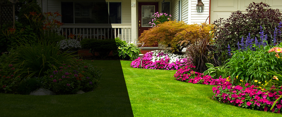 Lakeville Landscapers